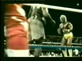 Hulk Hogan&Koko vs Kamala&Honky (commento di Dan Peterson)
