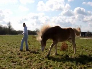 Quinto et Avel : Février - Début mars 2012