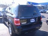 Used 2010 Ford Escape Nashville TN - by EveryCarListed.com