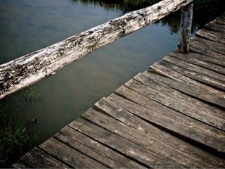 Carolina Chocolate Drops - Leaving Eden