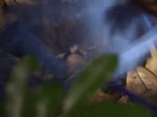 Globo.Reporter.2012.03.02 Expedição Guiana.HDTV.720p.jsCRF_agk