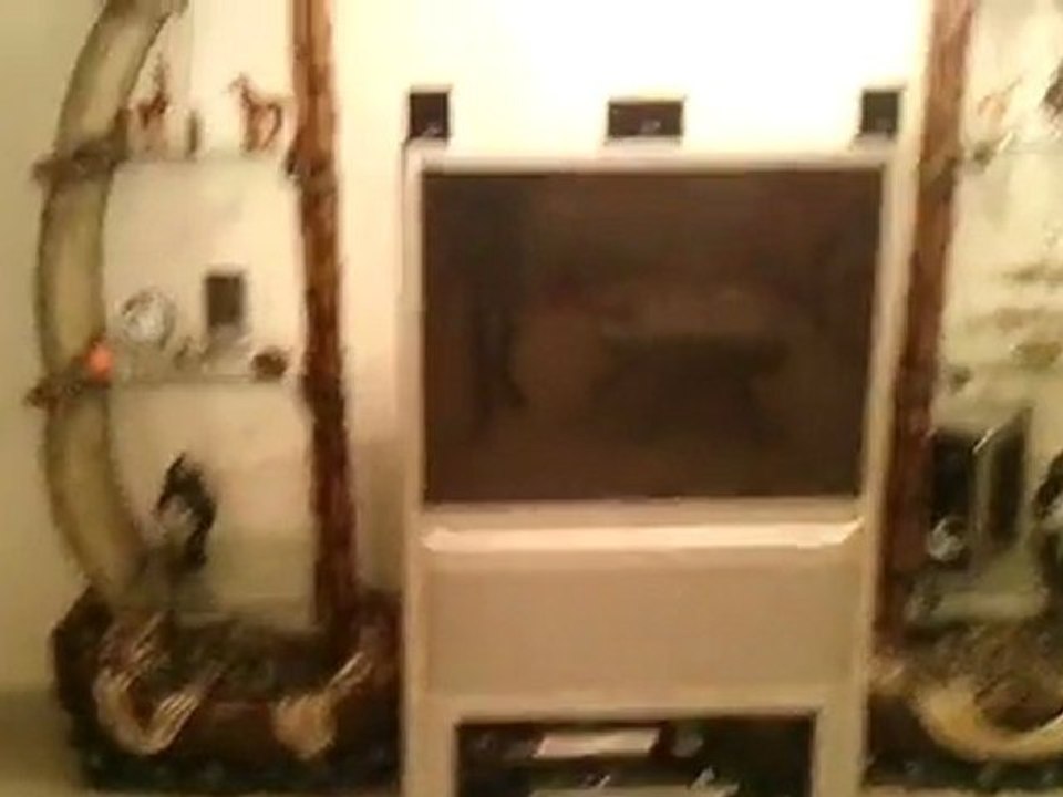 Vidéo0169