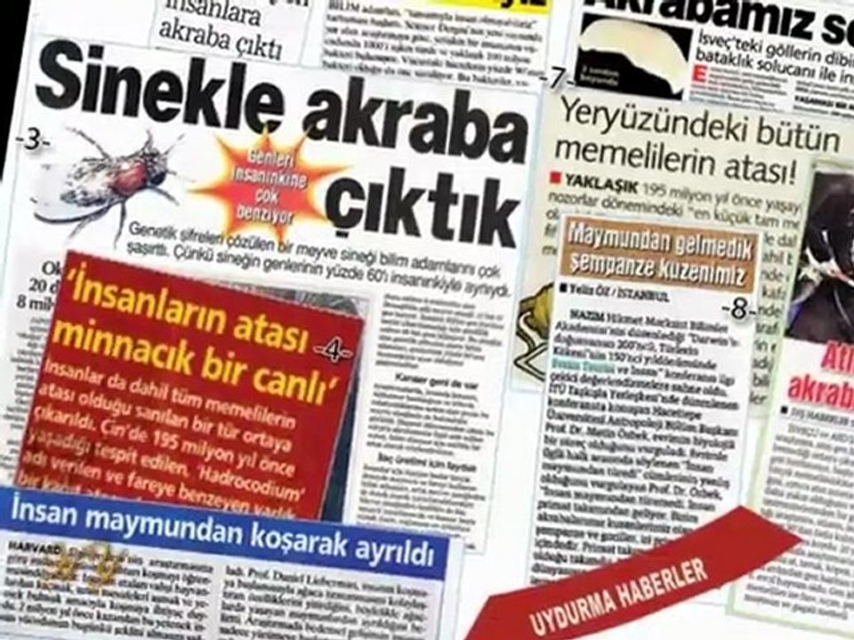 Evrim paneli cevap 1 - Darwinistler yenildiler ve şoktalar