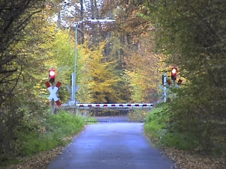 Diverse BR644 Talent am BÜ kurz vorm Bf Kottenforst.mov
