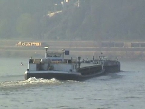 BR155, Bauzug, BR101, BR460, BR643 und BR146 kurz vor Remagen