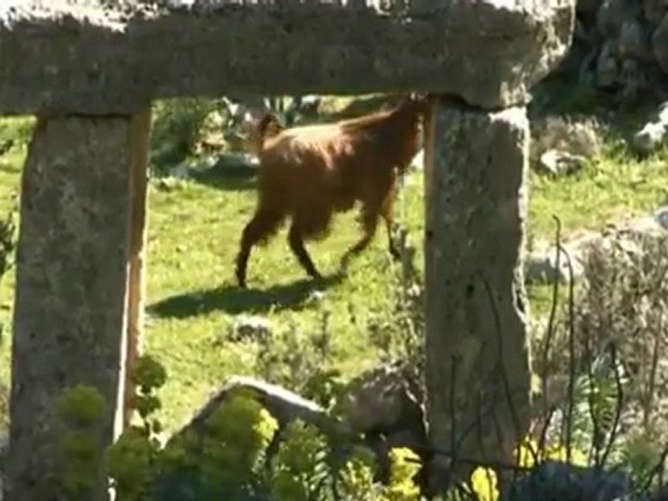 Fethiye -Turkey(360p_H.264-AAC)