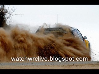 watch live Rally Guanajuato Mexico
