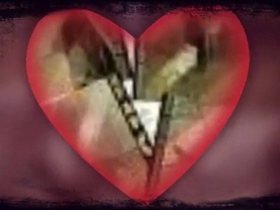 Nilüfer  "SÖYLE BULDUNMU ARADIĞIN AŞKI"