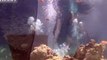 Fashion Underwater: Stunning Photoshoot in Eilat | FashionTV