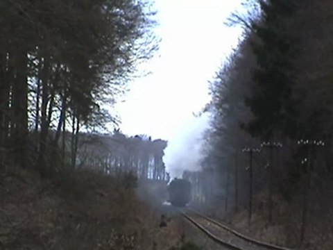 Plandampf Dampfspektakel 2010 Eifelquerbahn vor Dockweiler BR50, BR52, V60, Pr T11