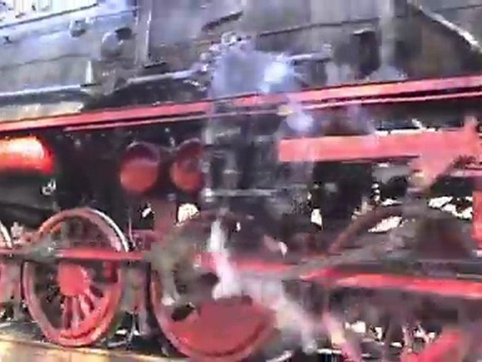 Dampfspektakel 2010 Plandampf Eifelquerbahn BR50 im Wald vor dem Bf Dockweiler