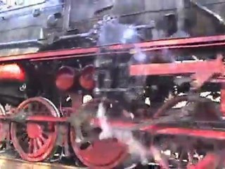 Dampfspektakel 2010 Plandampf Eifelquerbahn BR50 im Wald vor dem Bf Dockweiler