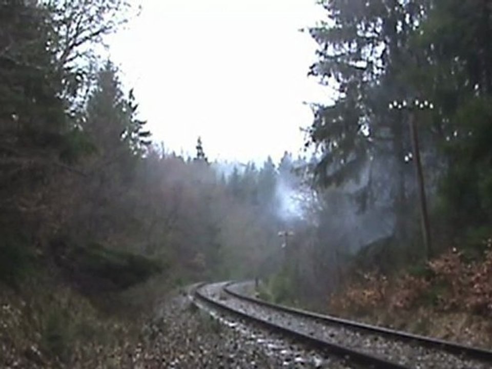 Dampfspektakel 2010 Plandampf 58311 gibt Dampf im Wald vor Dockweiler
