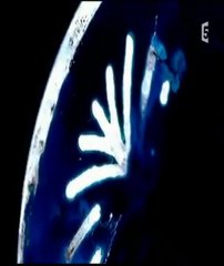 Les îles artificielles de Dubaï