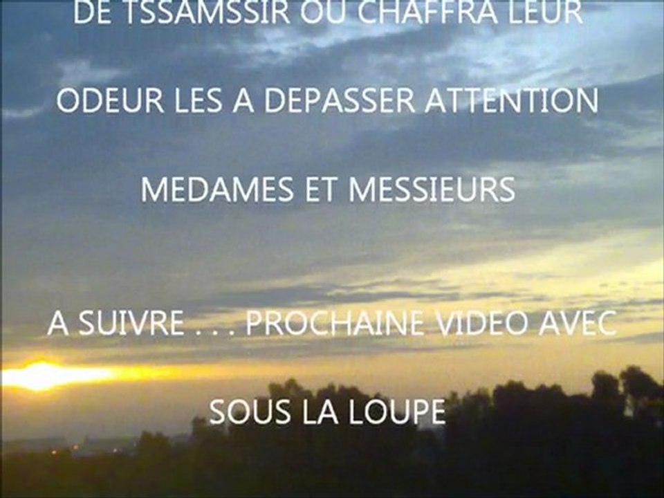 Passadena Sidi Rahal-1