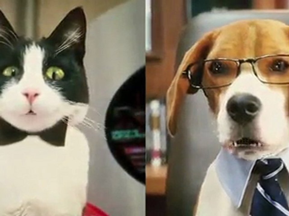 Cats & Dogs: Die Rache der Kitty Kahlohr
