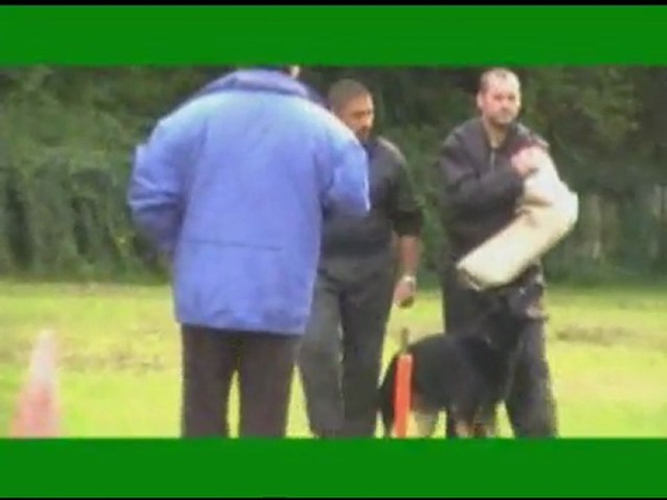 ARKO des Orckis dee l'Adret