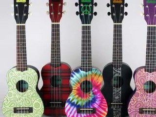 Learn How to Play The Ukulele Online Lesson