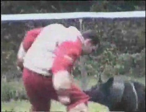 SCHIKO des Orckis de l'Adret-31-12-04_roman-ring3