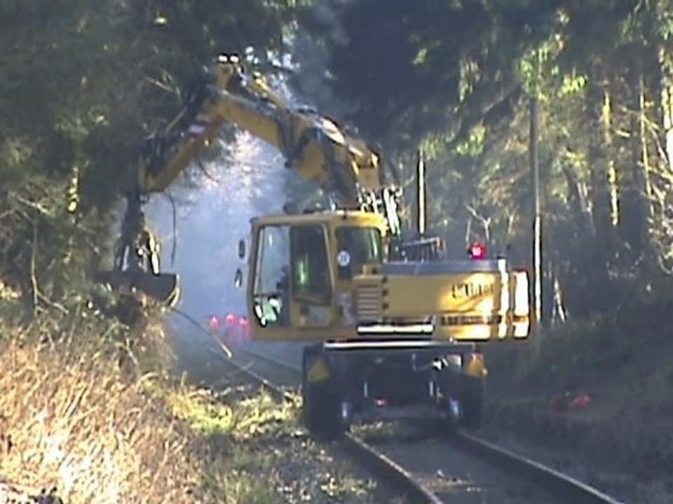 Aufräumungsarbeiten Eifelquerbahn nach Orkan Xynthia Teil 002