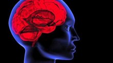 Le cerveau. 100 milliards de neurones toujours en mouvement.