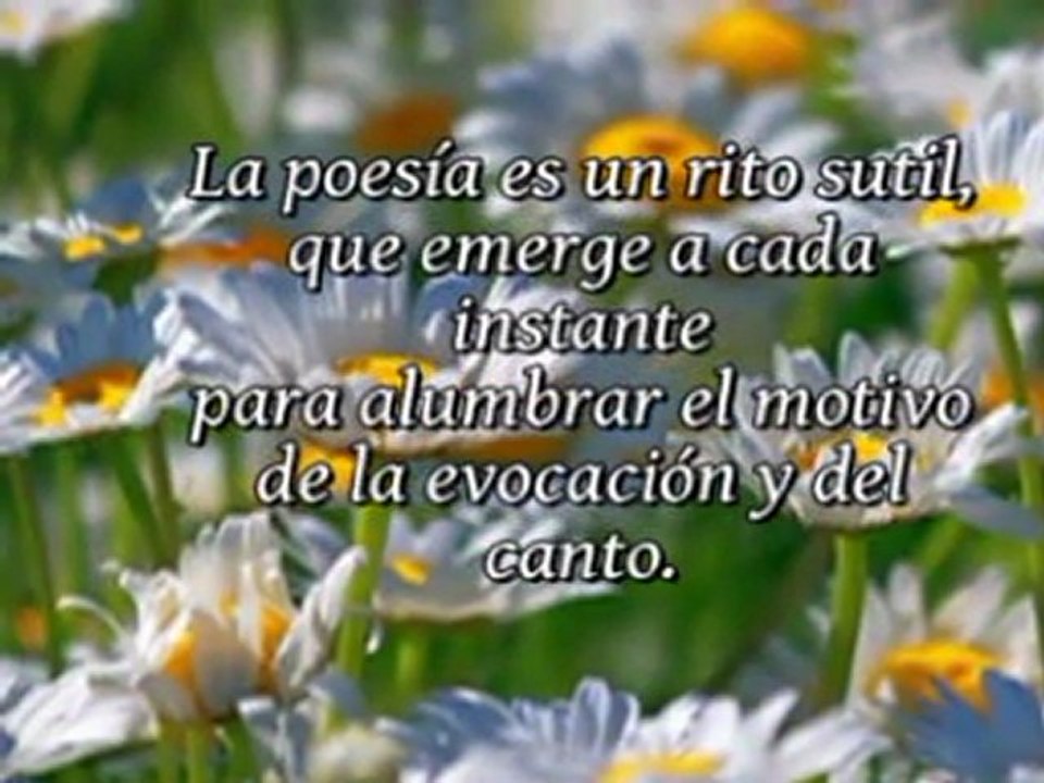 Destino de poeta