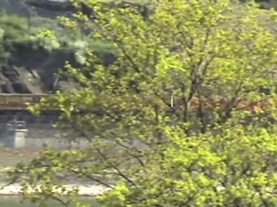 BR152, BR185, 2x BR101, BR143 bei Oberwesel am Rhein