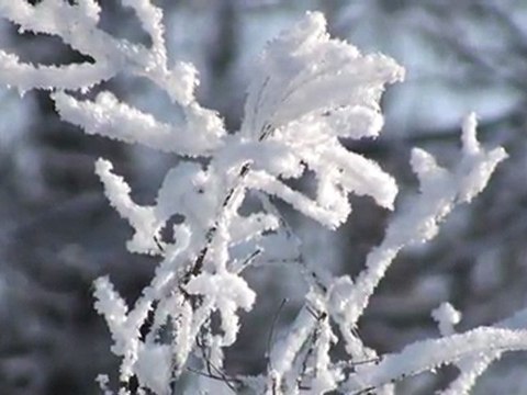 Зимние зарисовки