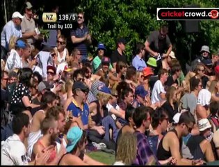 nz rsa t1d2_to_DivX_clip0