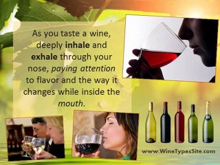 How to Discover Wines Flavor