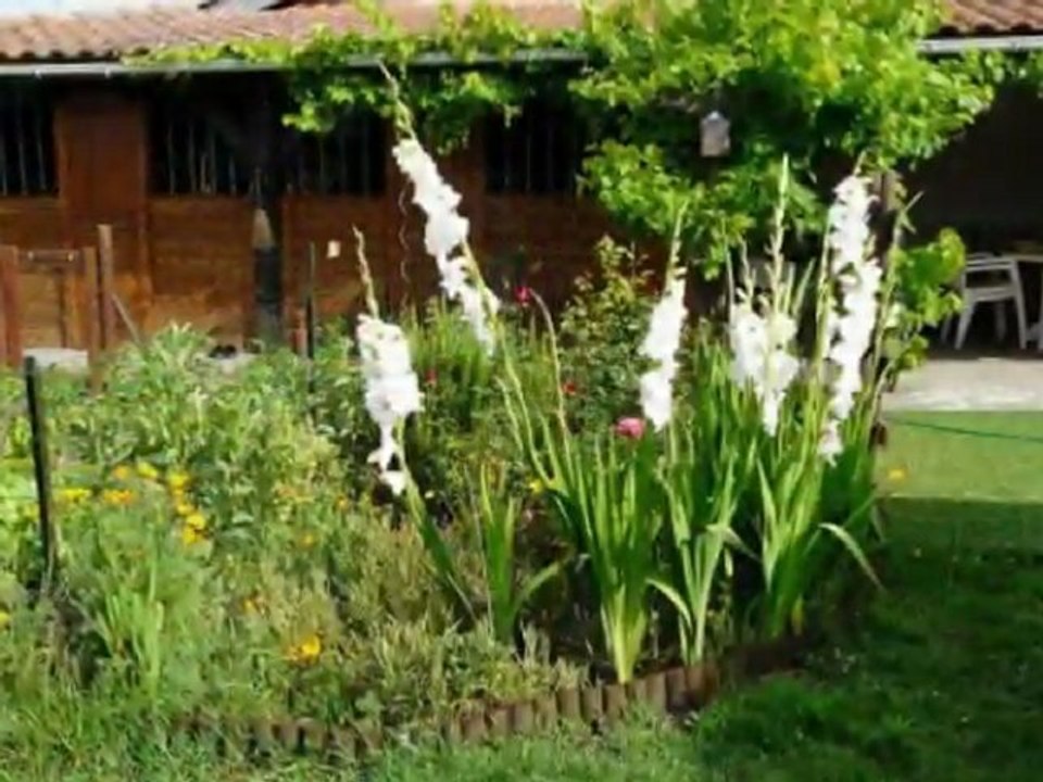 Vente maison soustons immobilier agence à la maison ref 243