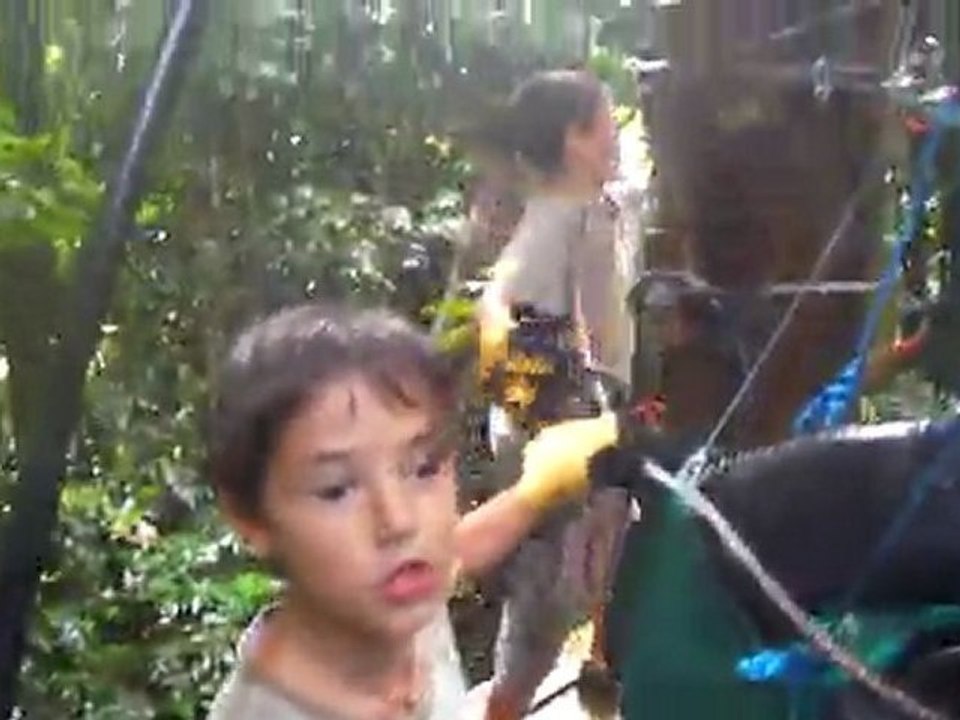 Petit tour dans les arbres