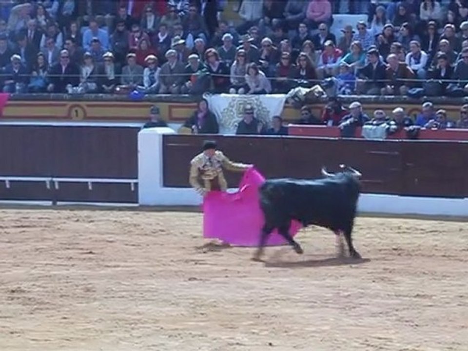 cuarto toro ponce capote
