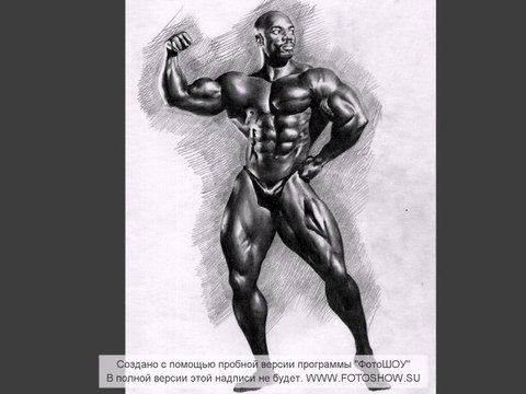 ГРАФИЧЕСКИЕ РАБОТЫ В МОЕМ ИСПОЛНЕНИИ