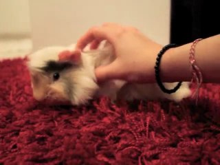 Flocon 3 mois câlins