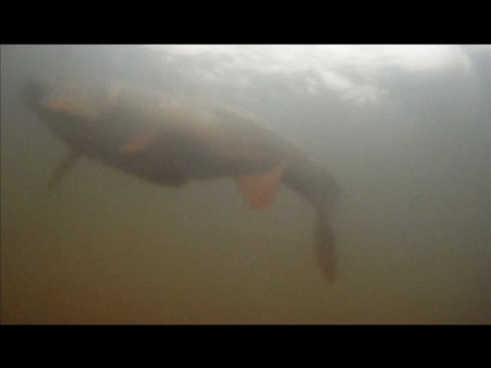 session mars 2012 - 4h au bord de l'eau ...