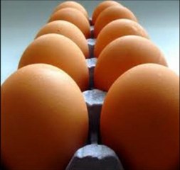 ¿Se recomienda comer huevos para bajar peso?