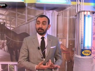 MO-EL - Lotta zanzare e controllo insetti