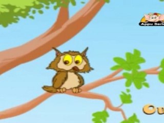 Picture Dictionay - Birds - Kids - Animation Learn Series