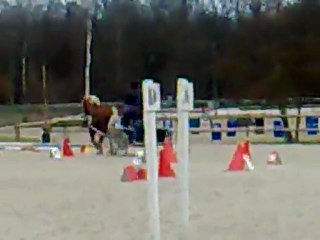 Christine et Jacée - Concours d'attelage - St Maur - 04/03/2012