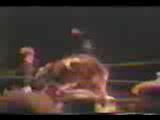 Bruno Sammartino Vs. Bruiser Brody
