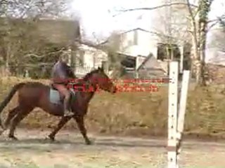 camescope 2.3.2012 018