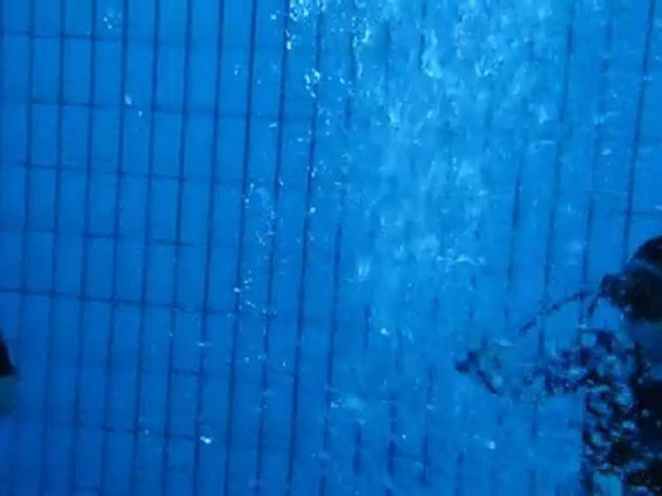 Plongée en fosse La descente des plongeurs SUB AQUA CLUB JOVICIEN