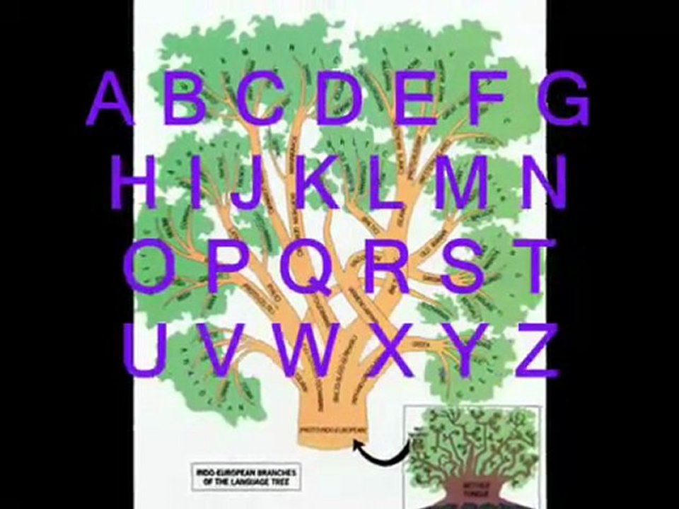 8th Foundational Falsehood of Creationism: "Mutations Are Harmful Decreases in Genetic Info"