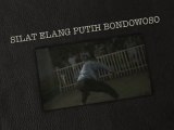 Kuntao Elang Putih Bondowoso