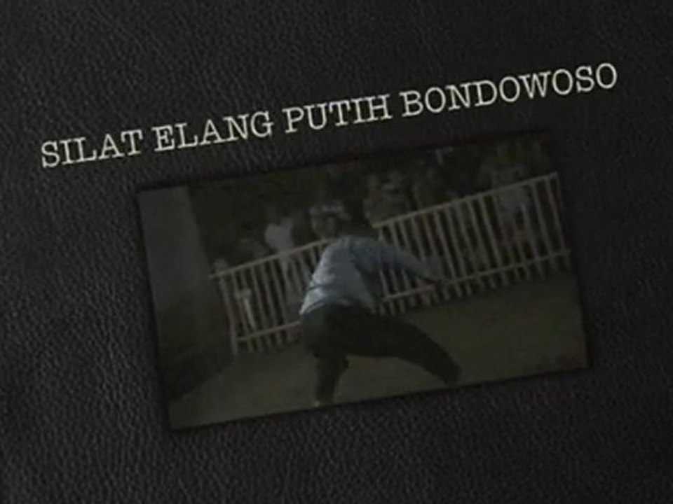 Kuntao Elang Putih Bondowoso