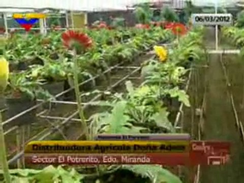(VIDEO) Contragolpe del día martes 06.03.2012 1/2