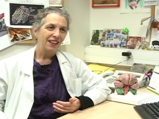 Israel: Research Into Mapping Emotions In The Brain