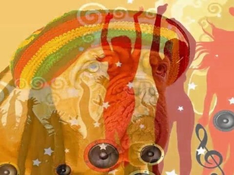 Party Destinations Showcases Top Party Holiday Resorts