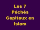 LES 7 PECHES CAPITAUX EN L'ISLAM / LLIES MAHFOUDI